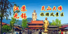 黄色开车色色啊啊啊啊江苏无锡灵山大佛旅游风景区
