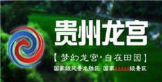 大鸡巴日老骚屄