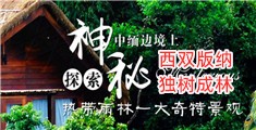 欧美大骚逼。。