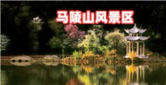 插逼视频观看