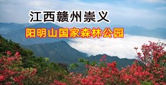 小美女操B